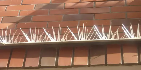 Netting Armoury Anti Bird Spikes in Bhubaneswar, Cuttack, Puri, Rayagada, Berhampur, Sambalpur, Khordha, Bhadrak, Jajpur, Balasore, Rourkela, Ganjam, Jharsuguda