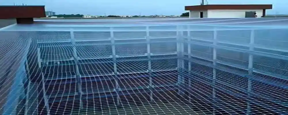 Netting Armoury Bird Netting Services in Bhubaneswar, Cuttack, Puri, Khordha, Ganjam, Sambalpur, Balasore, Rourkela, Rayagada, Jajpur, Jharsuguda, Bhadrak, Berhampur